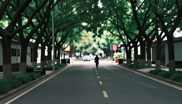 信息发布基础展示套餐:两种做法对比与维护建议